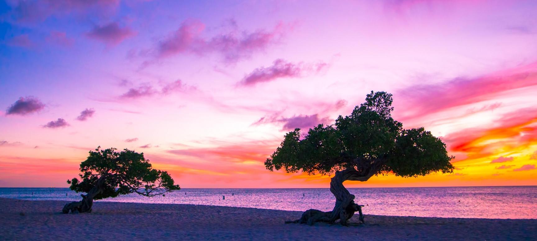 Holiday Inn Resort Aruba | Palm Beach | 6