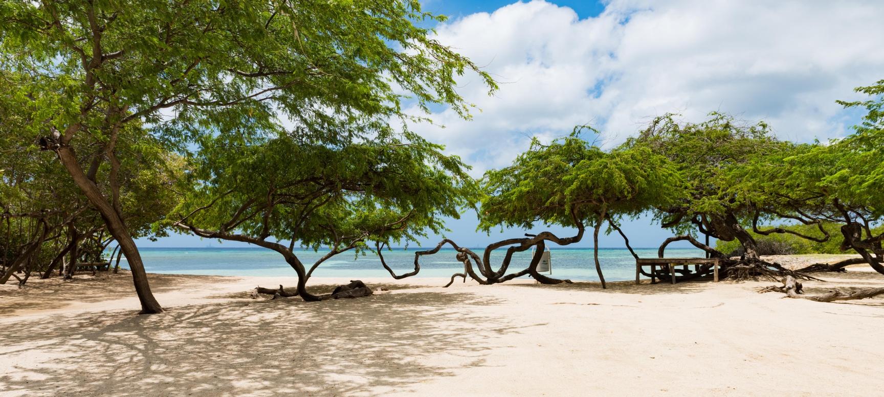 Holiday Inn Resort Aruba | Palm Beach | 4